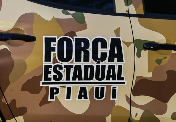 Força Estadual de Segurança do Piauí