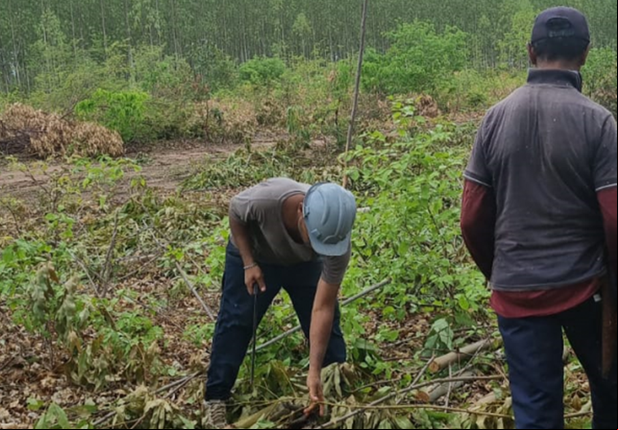 MPT resgata trabalhadores em situação análoga à escravidão no Piauí