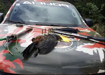 Equipamento para caça e ave Jacu apreendidos pela Polícia Militar