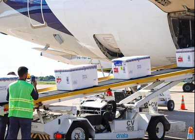 O lote chegou em Teresina e será encaminhado aos municípios
