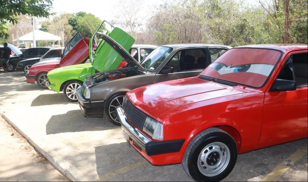 Carros em exposição
