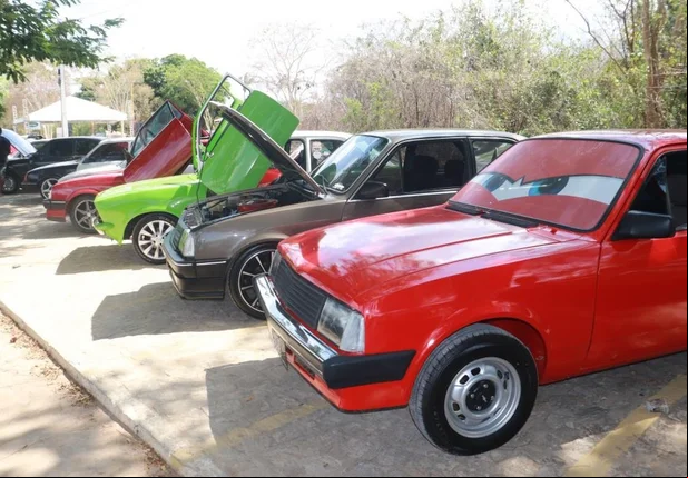 Carros em exposição