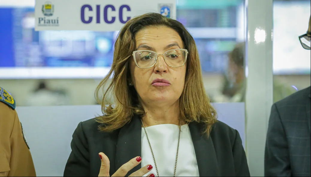 Delegada de Polícia Civil, Adriana Xavier