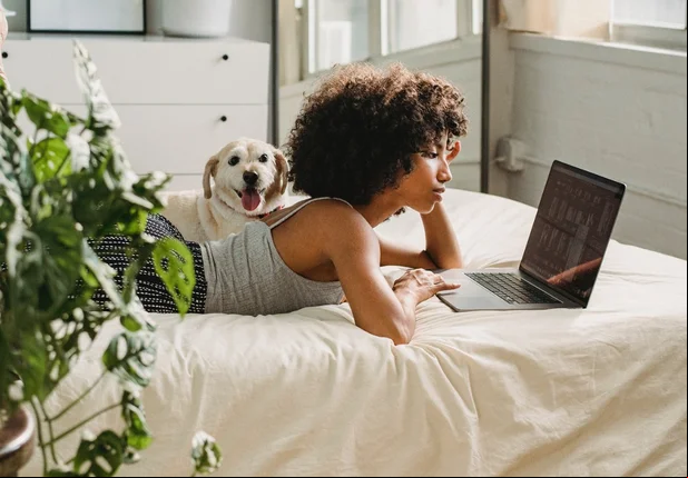 Veterinária alerta sobre uso do ar-condicionado para pets