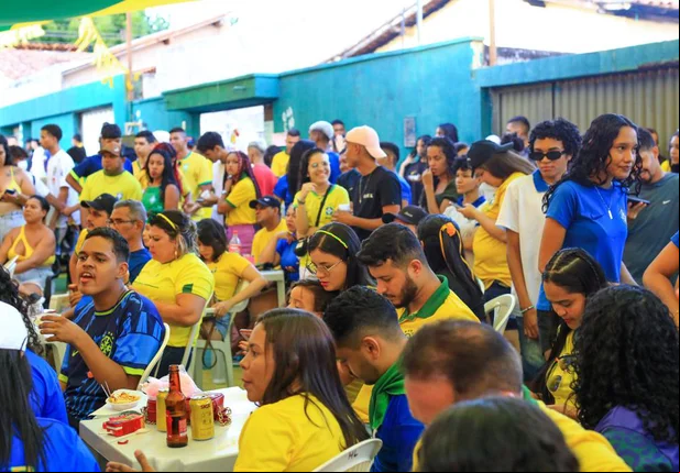 Torcida durante jogo do Brasil