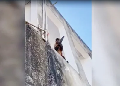 Macaco com faca na mão