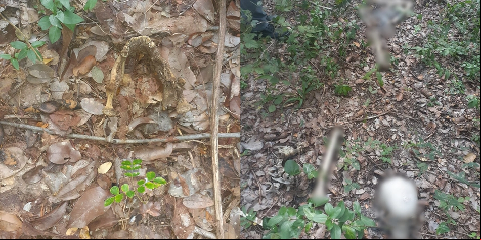 Ossada foi encontrada por um homem que trabalhava no local