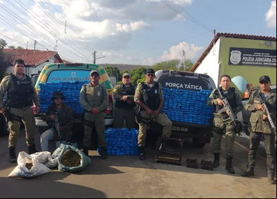 PM desarticula boca de fumo, realiza grande apreensão e prende traficante em Santo Inácio do Piauí