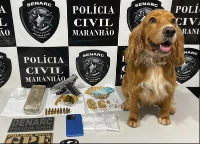 Itens apreendidos em Timon
