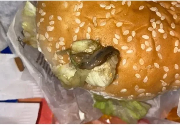 Lesma é encontrada em hambúrguer da franquia de fast food Burguer King