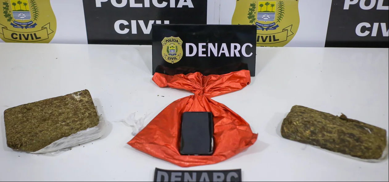 Material apreendido pela equipe do DENARC