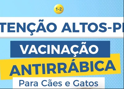 Prefeitura de Altos anuncia vacinação antirrábica para cães e gatos