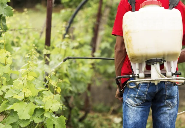Projeto de Lei afrouxa norma que regulamenta o registro de agrotóxicos