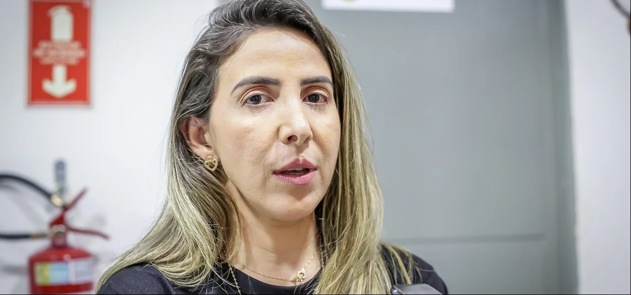 A delegada coordenadora da Depre, Alexandra Santos