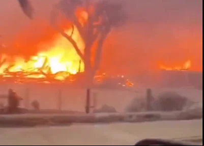 Incêndios florestais no Havaí deixam 36 pessoas mortas