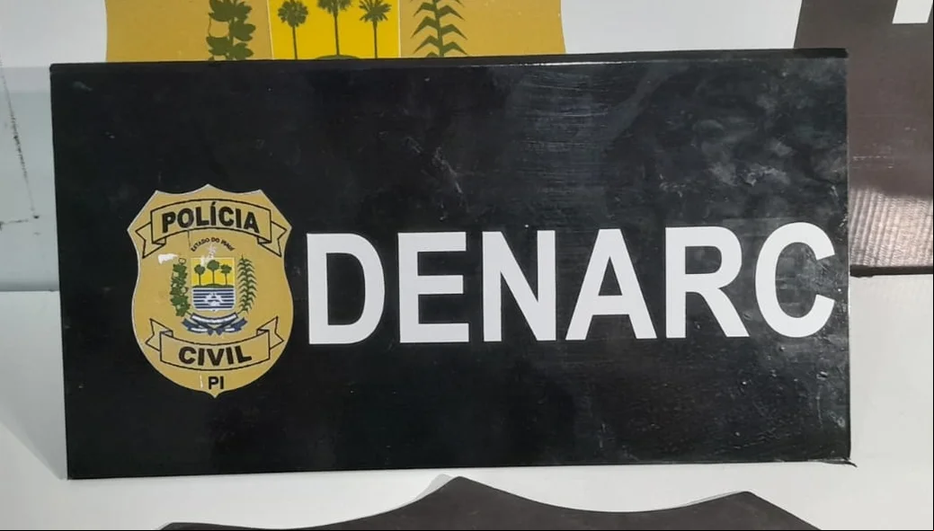 Operação foi deflagrada pela Polícia Civil através do Departamento de Investigações sobre Narcóticos (DENARC)