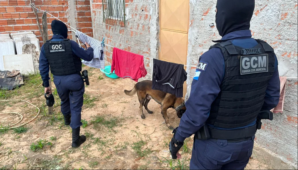 Equipes da Guarda Municipal de Teresina auxiliaram os policiais do DRACO