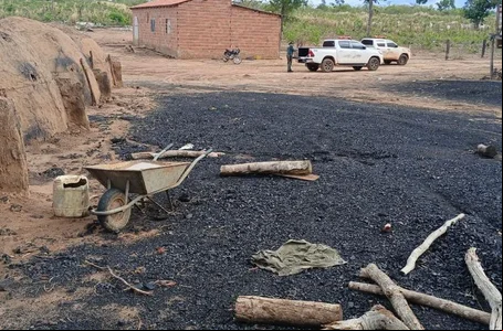 Carvoaria em Corrente é interditada