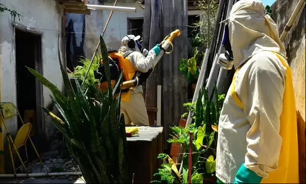 O Brasil fecha o ano com mais de 6,6 milhões de casos de dengue.