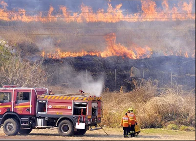 Incêndio florestal