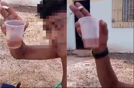 Homem registrou o momento em que mata o gato e depois bebe o sangue do animal