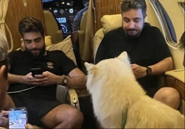 Henrique e Juliano levam cachorros de Nattanzinho após bebedeira