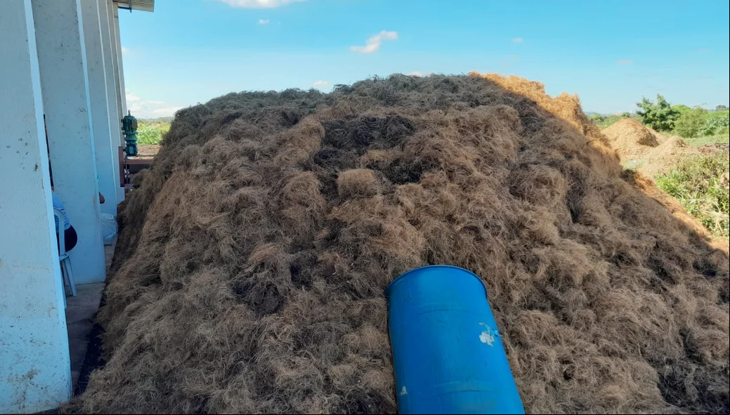 composto orgânico