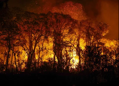 Incêndio no Pantanal