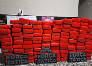 Polícia Militar apreendeu 293 tabletes de maconha