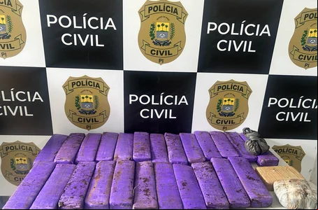 Material apreendido pela Polícia Civil de Amarante