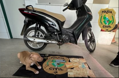 Objetos e animal apreendidos com a suspeita