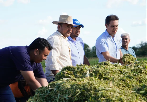 Prefeito de Uruçuí acompanha produção de silagem no Assentamento Flores
