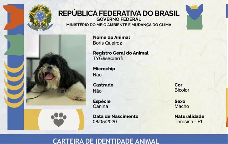 Emissão de Carteira de Identidade para pets