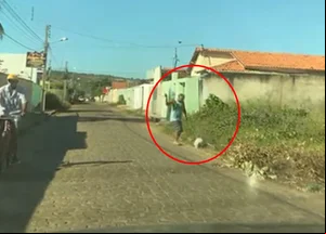 Funcionário público aposentado acusado de espancar cadela na rua