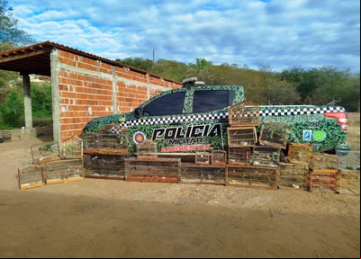PM resgata aves durante operação
