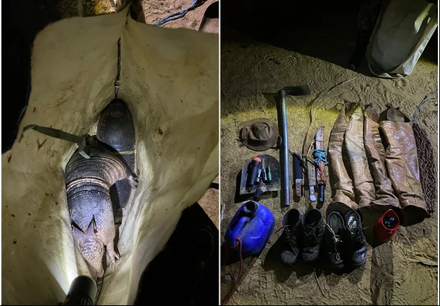 Polícia Militar flagra caça ilegal de tatus no Sul do Piauí