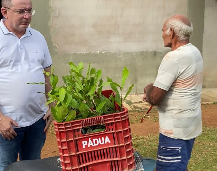 Populares da zona rural receberam as mudas
