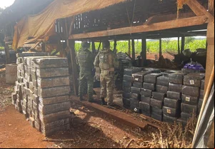 Quase 3 toneladas de maconha apreendidas no Paraná