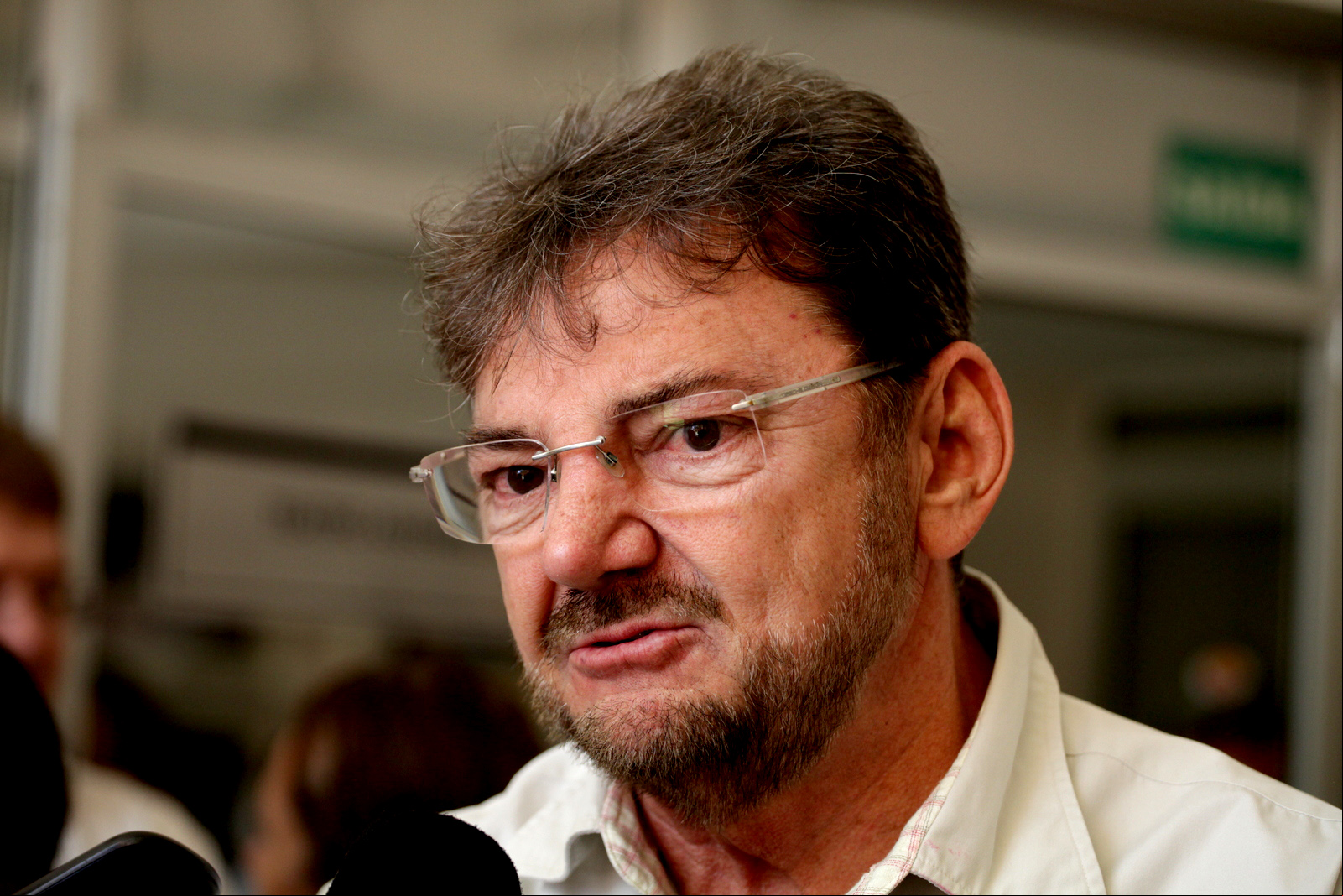 Wilson Martins