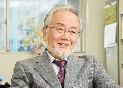 Yoshinori Ohsumi 