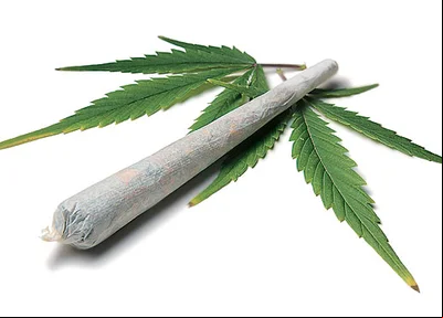 Maconha
