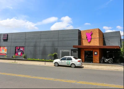 Pink Elephant