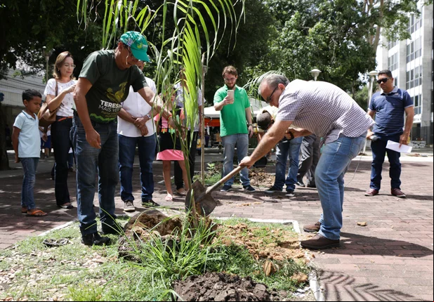 Prefeitura de Teresina faz plantio de mudas no centro de Teresina