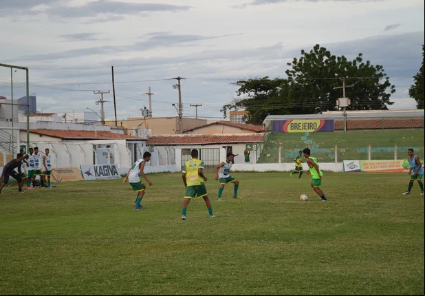 Picos inicia treinamentos visando estreia na competição