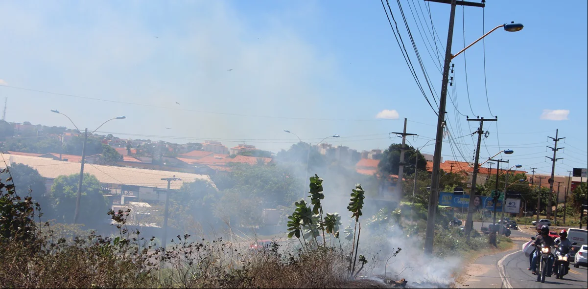 Fogo destruiu boa parte da vegetação próxima ao acostamento