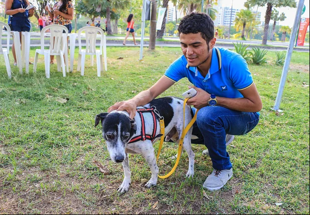 Feira de Adoção dos animais abrigados pela Apipa