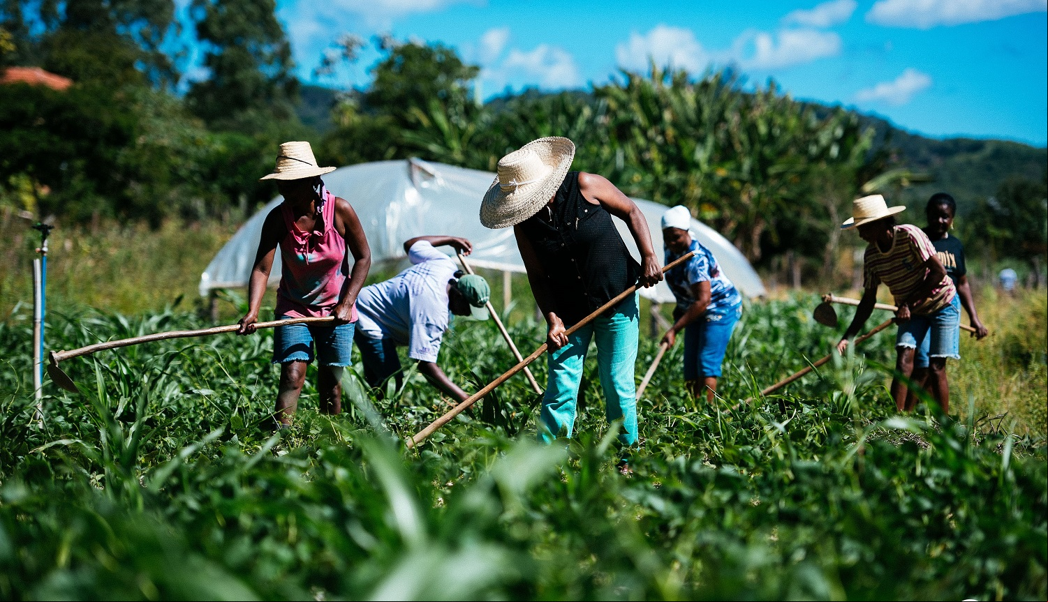 Agricultura familiar