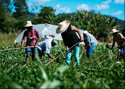 Agricultura familiar