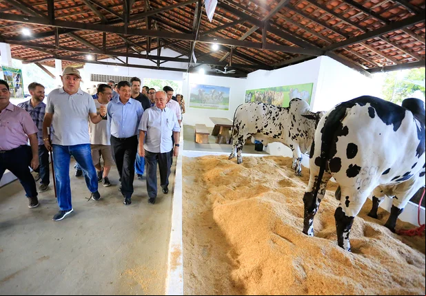 Wellington Dias participa da abertura da 67ª edição da Expoapi