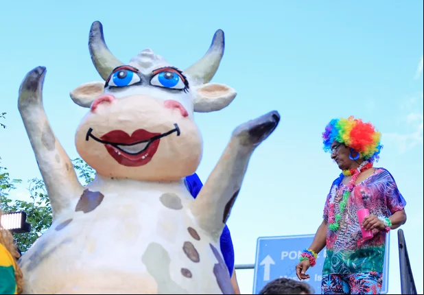 Veja os principais registros desse carnaval na cidade Teresina